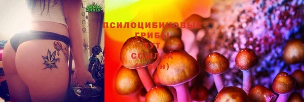 ECSTASY Каменногорск