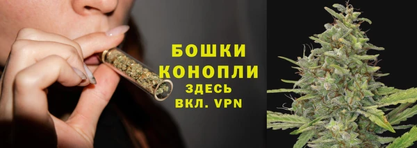 мяу мяу мука Карпинск