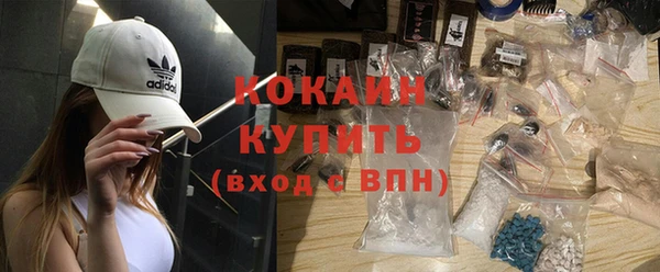 винт Каменка