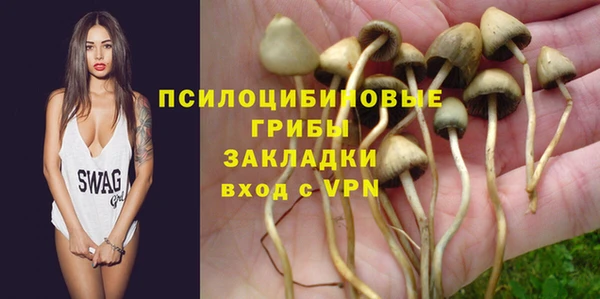 мяу мяу мука Карпинск